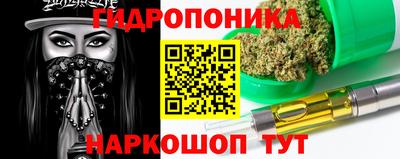 шишки Гусь-Хрустальный