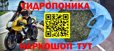 шишки Гусь-Хрустальный