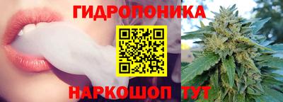 шишки Гусь-Хрустальный