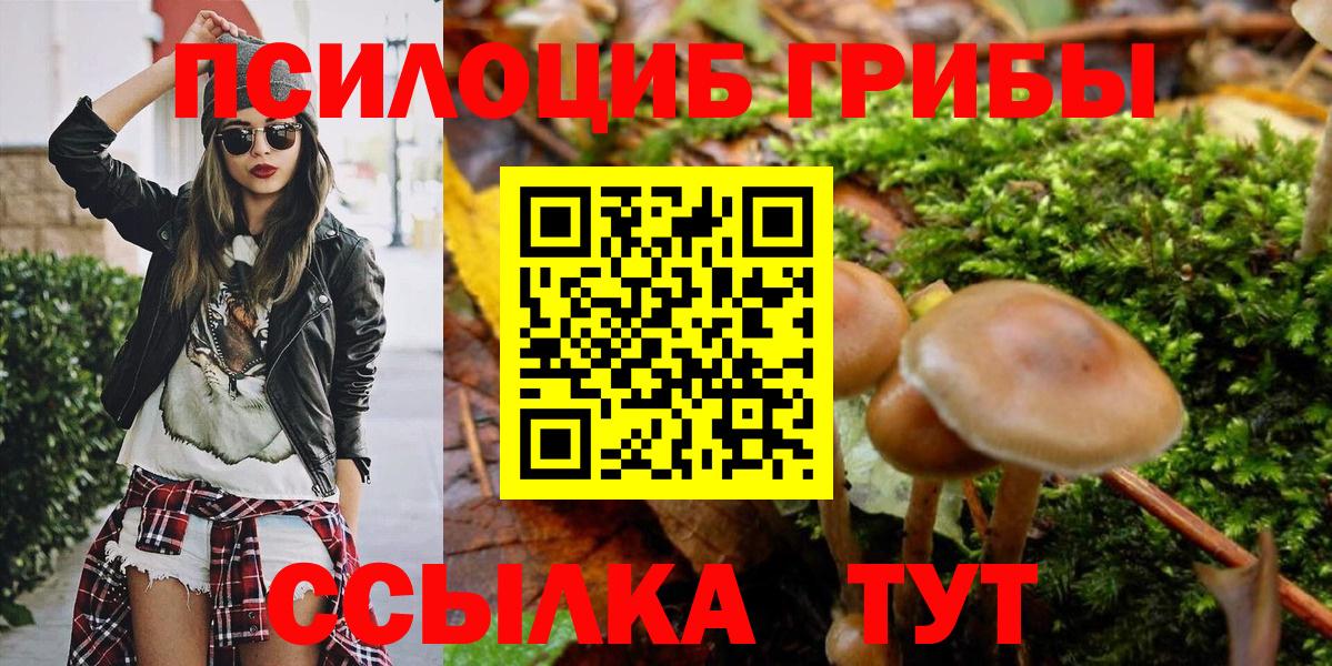 Галлюциногенные грибы Psilocybine cubensis Валуйки